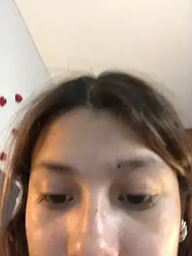3littles webcam