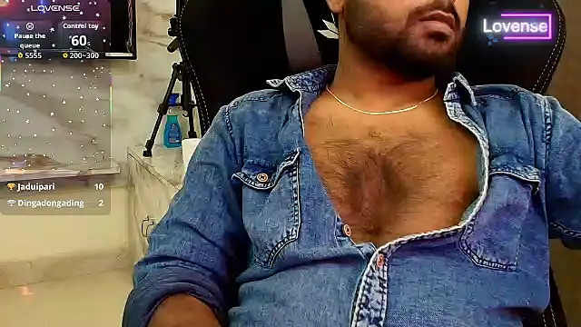 SilverShade3 webcam