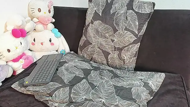 Eirlysx webcam