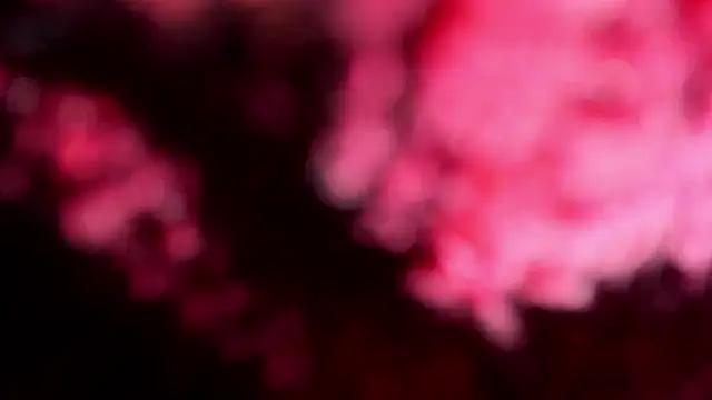 Modella: Manchita96_