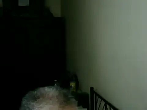 100Tauros webcam