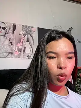 Sessash webcam