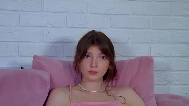 SophiaProve webcam