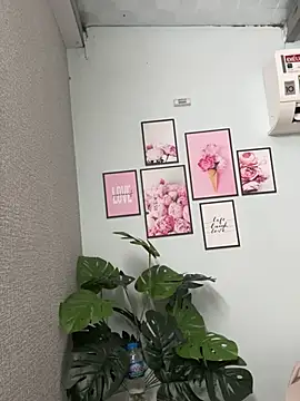 Nana-19 webcam