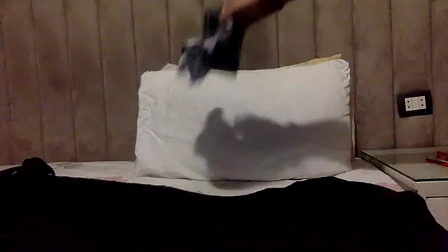CaiBull webcam