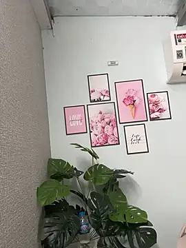 Nana-19 webcam