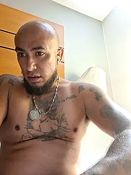 Mac15151 webcam