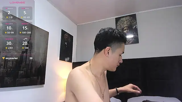 _Alan_Walker_1 webcam