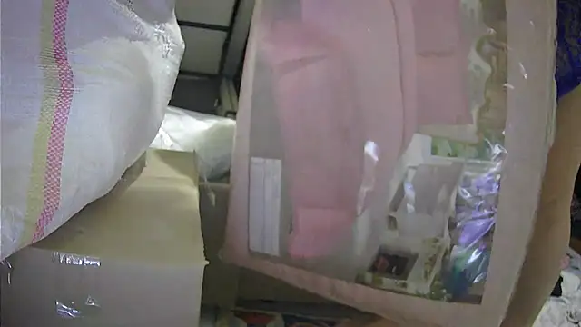 disil-enerji webcam