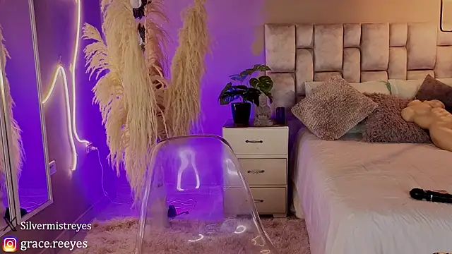 Silvermistt webcam