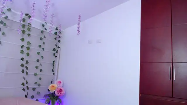 vecandy webcam