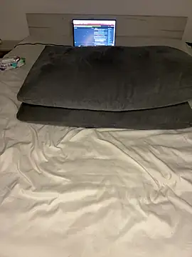 Anal_Top webcam