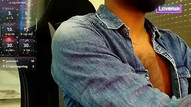 SilverShade3 webcam