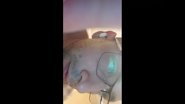 White_rabbit_ webcam