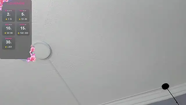 victoria_decapri webcam