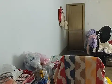 RebelAura webcam