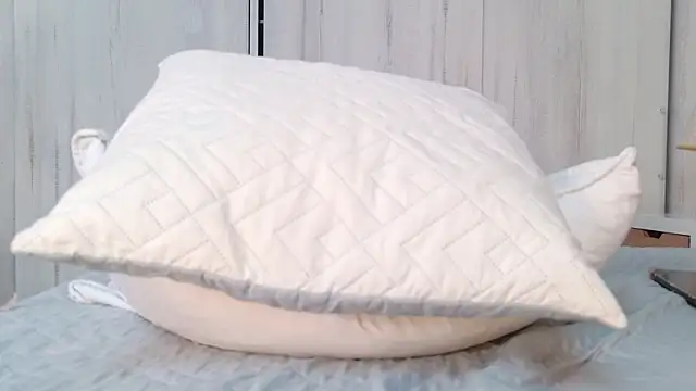 bunny_blush12 webcam