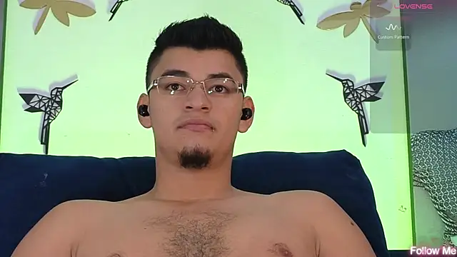 VikoHands webcam