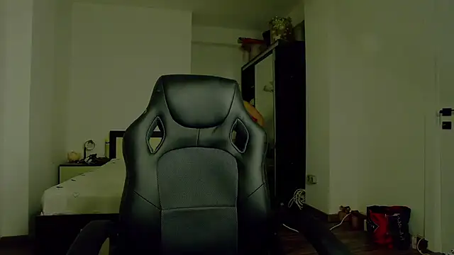 DedeSibel webcam