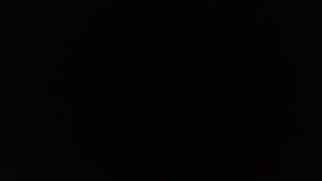 petitoiseau67 webcam