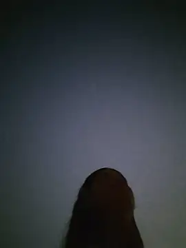 RoomExotic11 webcam