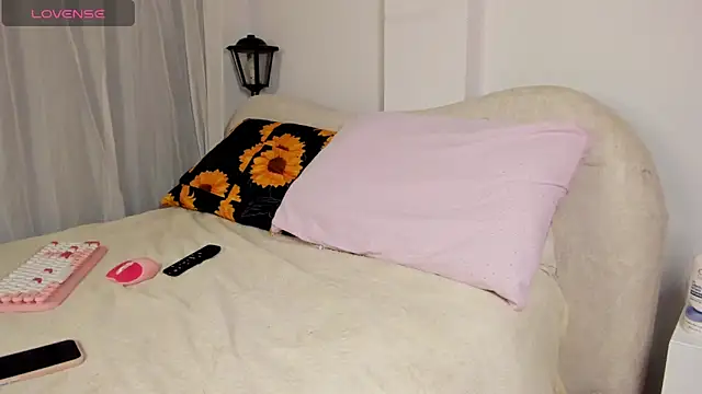 karla_charlovy webcam