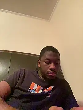 ThickDic28 webcam
