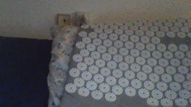 KaelNox webcam