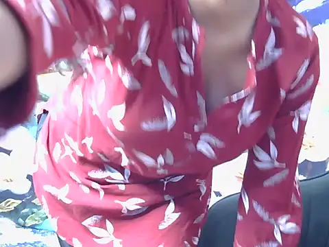 hoty-pinka webcam