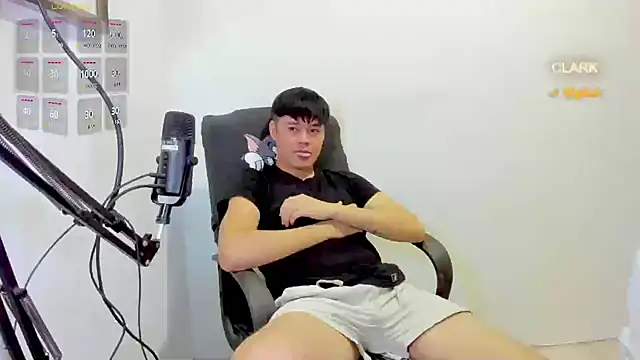 clarkdangerous webcam