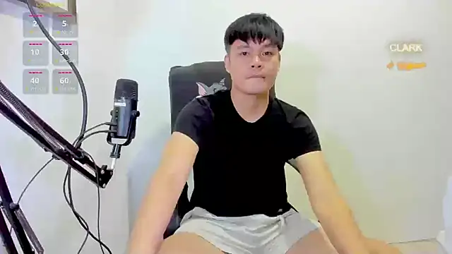 clarkdangerous webcam