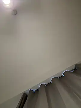 Duckcouple webcam