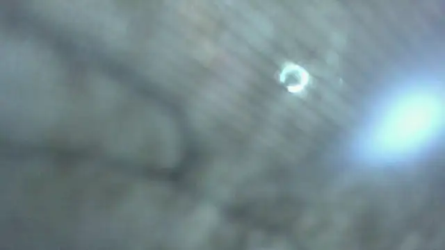 Goldendesirexx webcam
