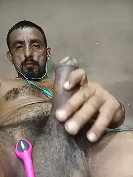 Longthick26cm webcam
