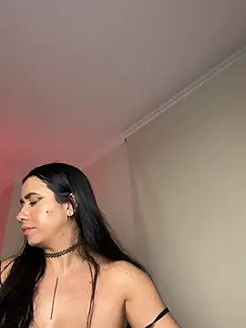 Samispank webcam