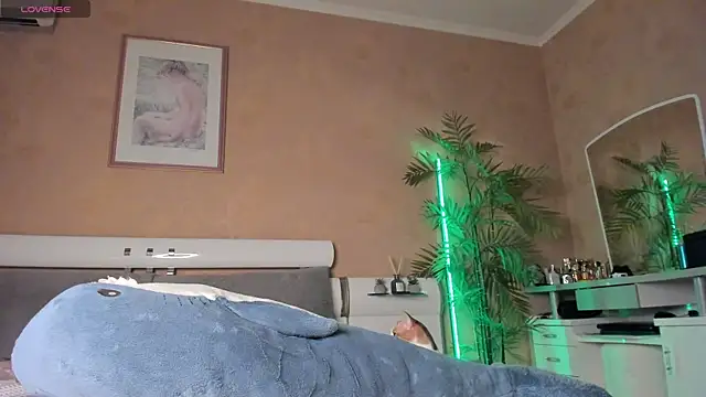 Diamond_D_ webcam