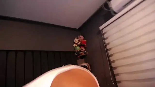 dirty_27cms webcam