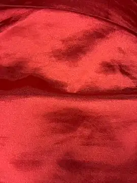 thefartqueen