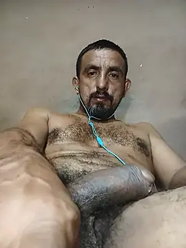 Longthick26cm webcam