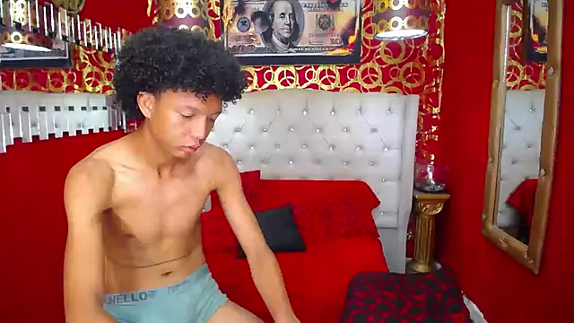 PEINBOYS webcam