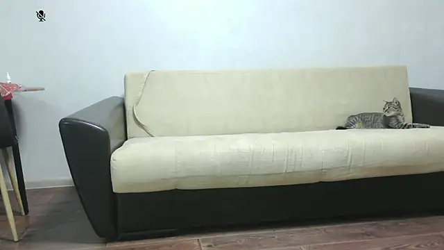 aylinblushing webcam