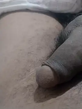 dheck2020 webcam