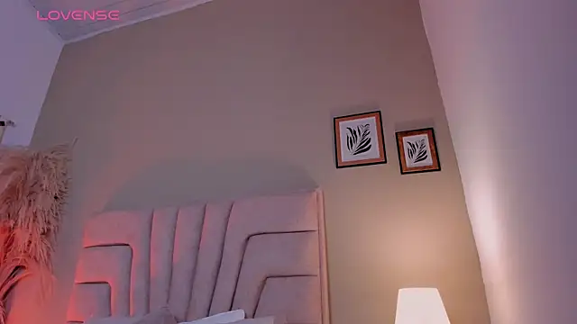nova_silk webcam