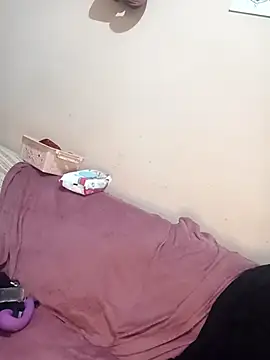 lualviz webcam