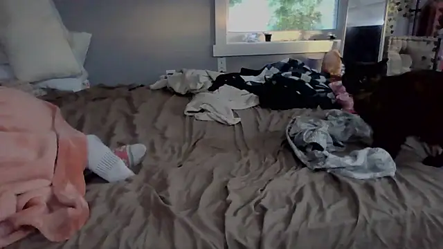 perfect_us696 webcam