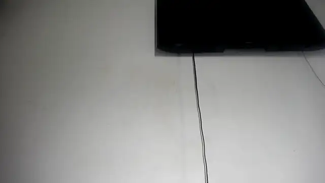 Fox_Loves