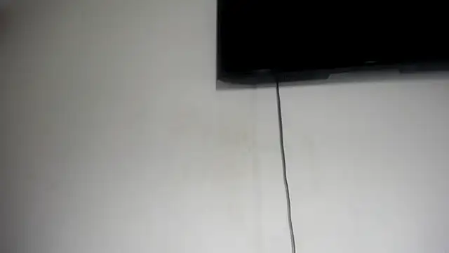 Fox_Loves webcam