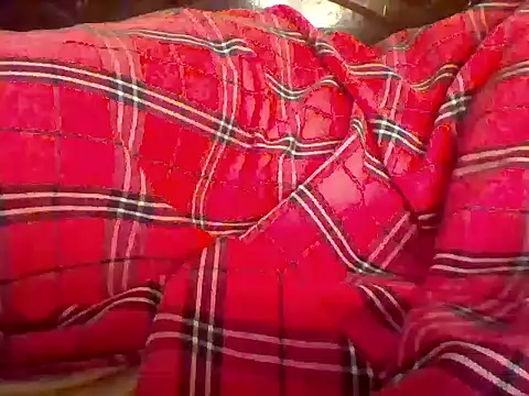 missarpie webcam