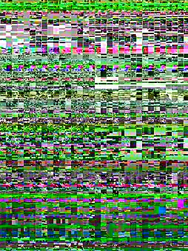 SweetSmokee webcam