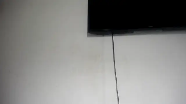 Fox_Loves webcam